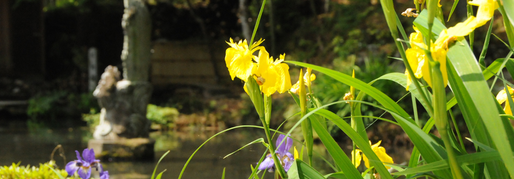比叡山飯室谷・不動堂　境内